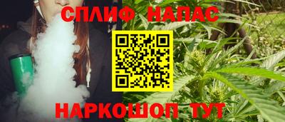 ешки Камышлов