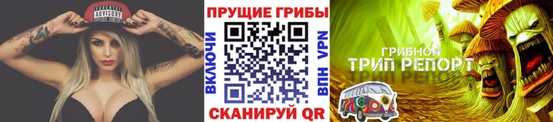 что такое наркотик  Кисловодск  Галлюциногенные грибы мухоморы 