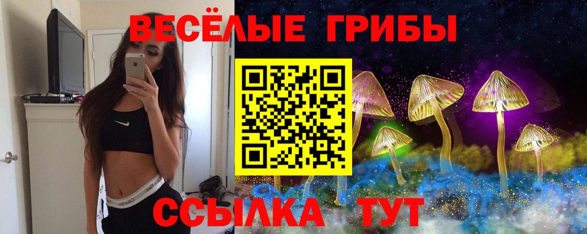 Кисловодск  Псилоцибиновые грибы Cubensis  Вход с VPN 